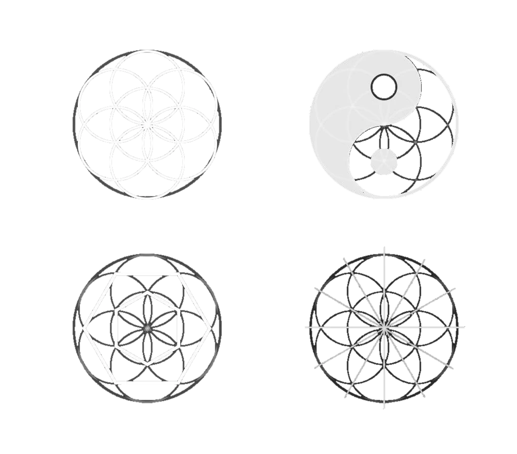 Flower of Life derivations